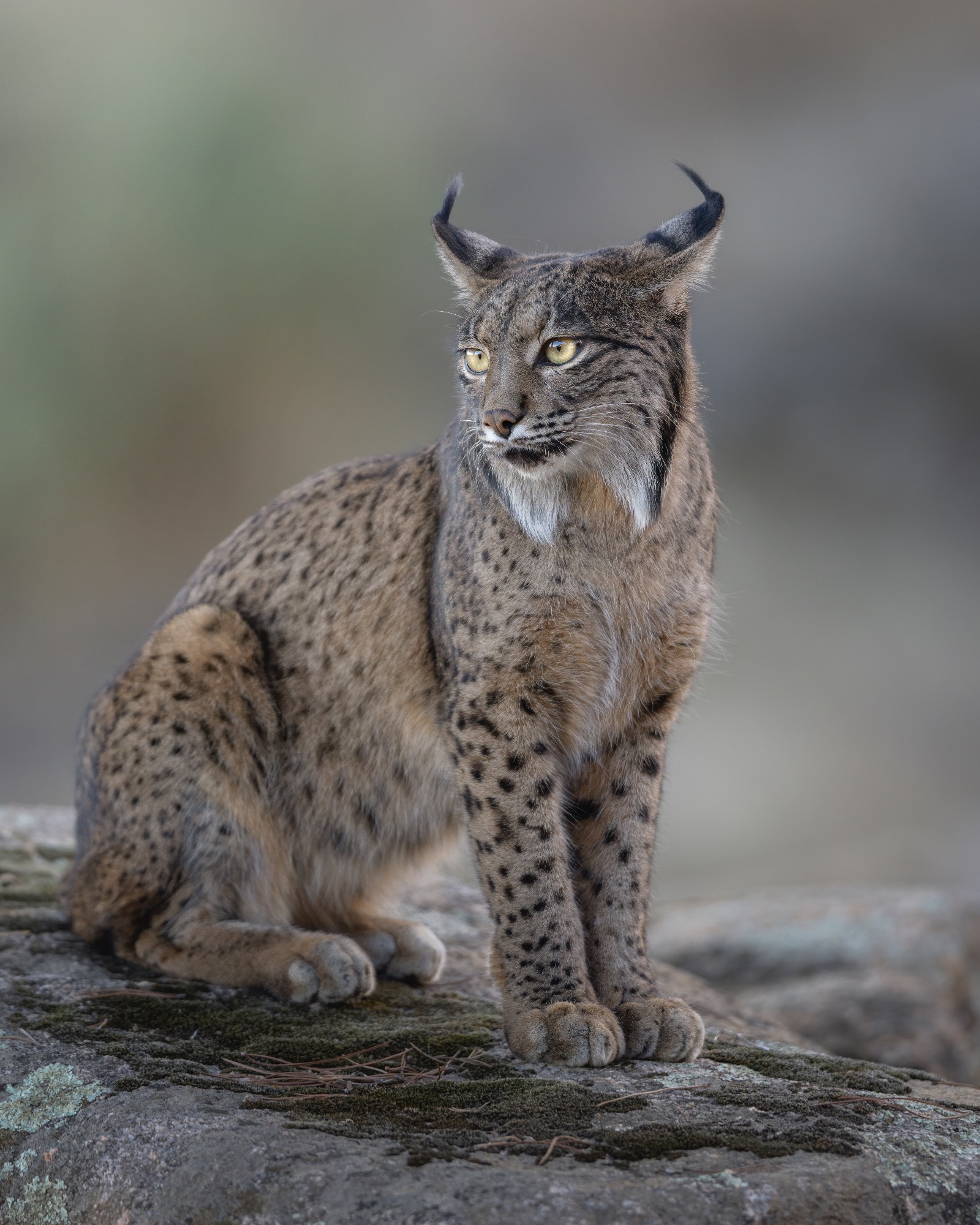 _E4A1110FULLSIZE%20VERT